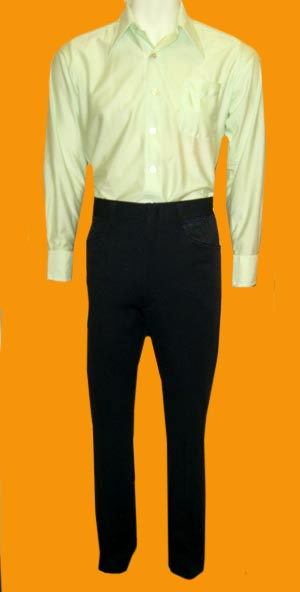 FUN 1970s disco outfit Shirt & Pants. Sizes S-XL. (disco on a budget!) Custom picked for you!